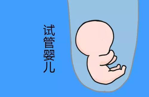 好孕故事